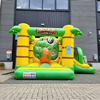 Bouncy Box Dino