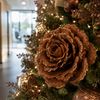 Kerstboom hot chocolate (230 cm)