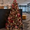 Kerstboom Candy Cane