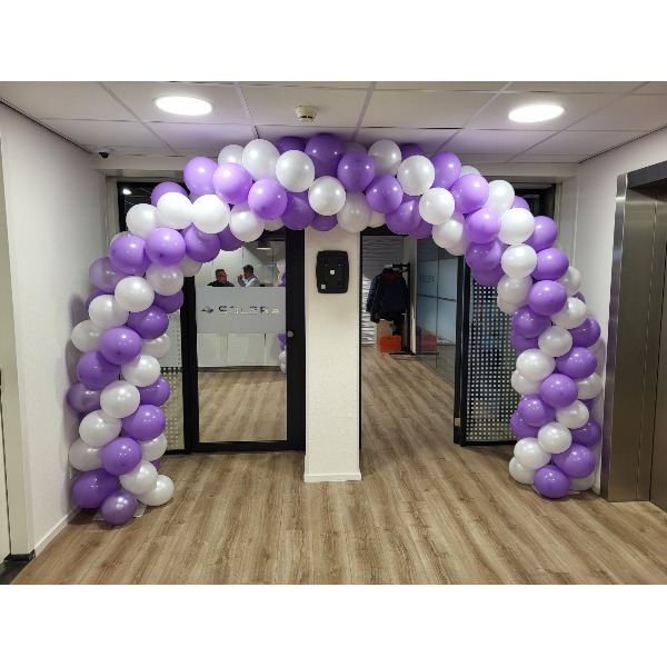 Ballonnenboog Purple White Ballonnenboog Purple White