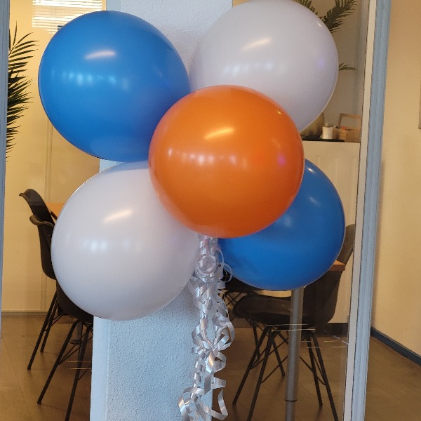 Ballonnentros-5 stuks met lint Ballonnentros-5 stuks met lint